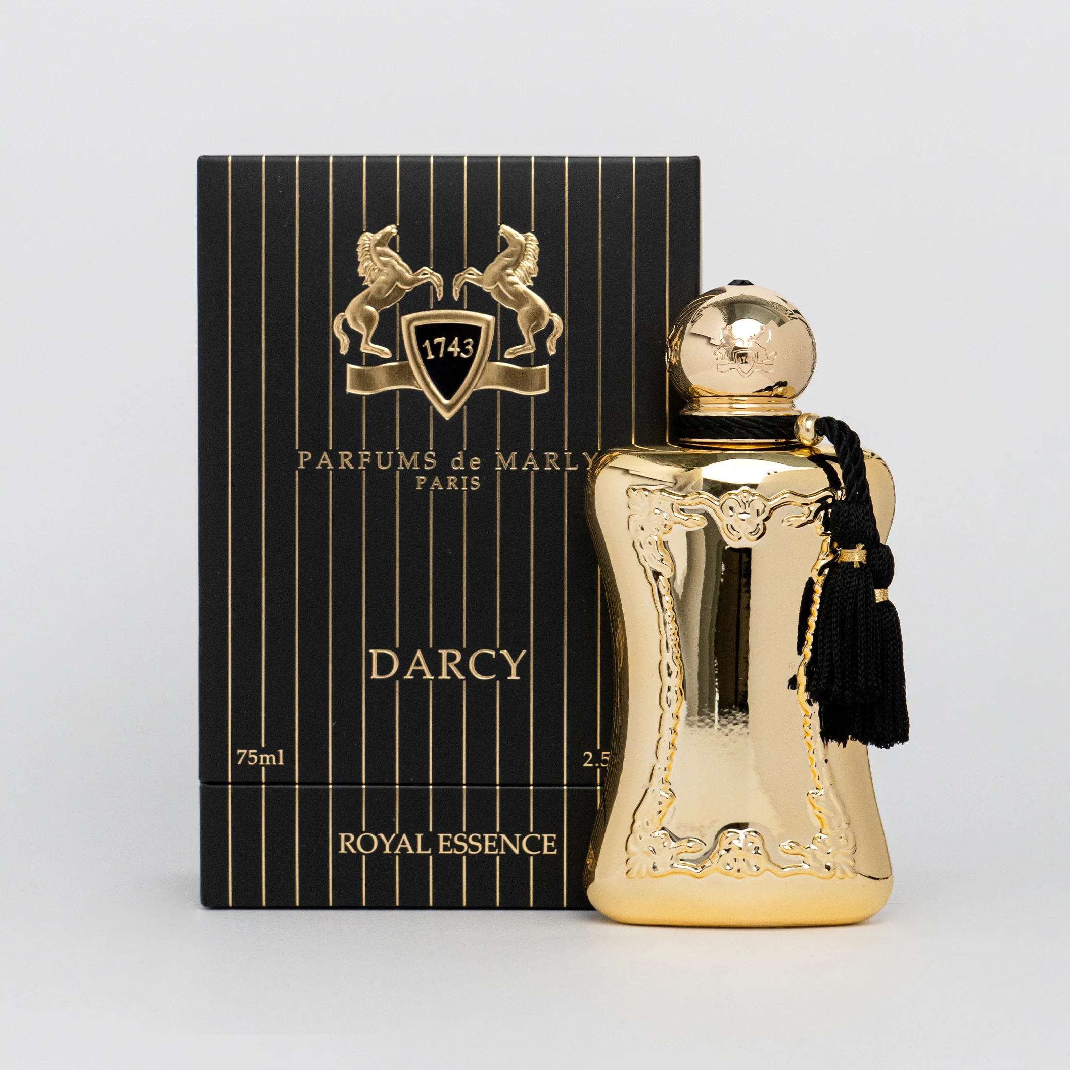 Darcy - Image 3